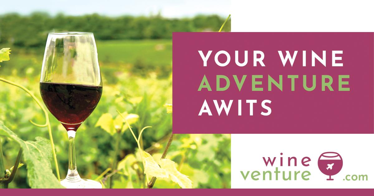 Wine Venture Ads Study - image 4 - student project