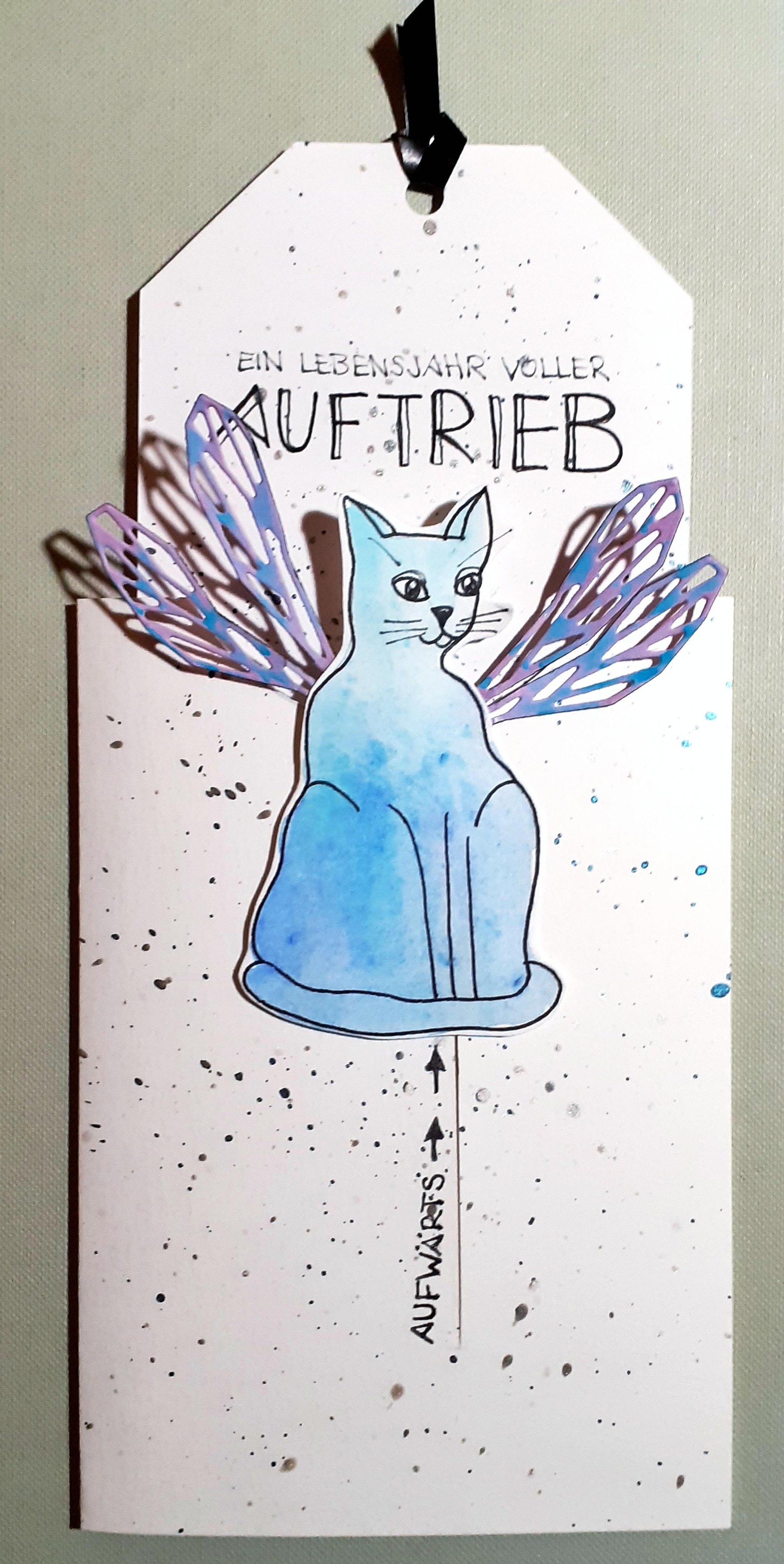 Slider Card - image 2 - student project