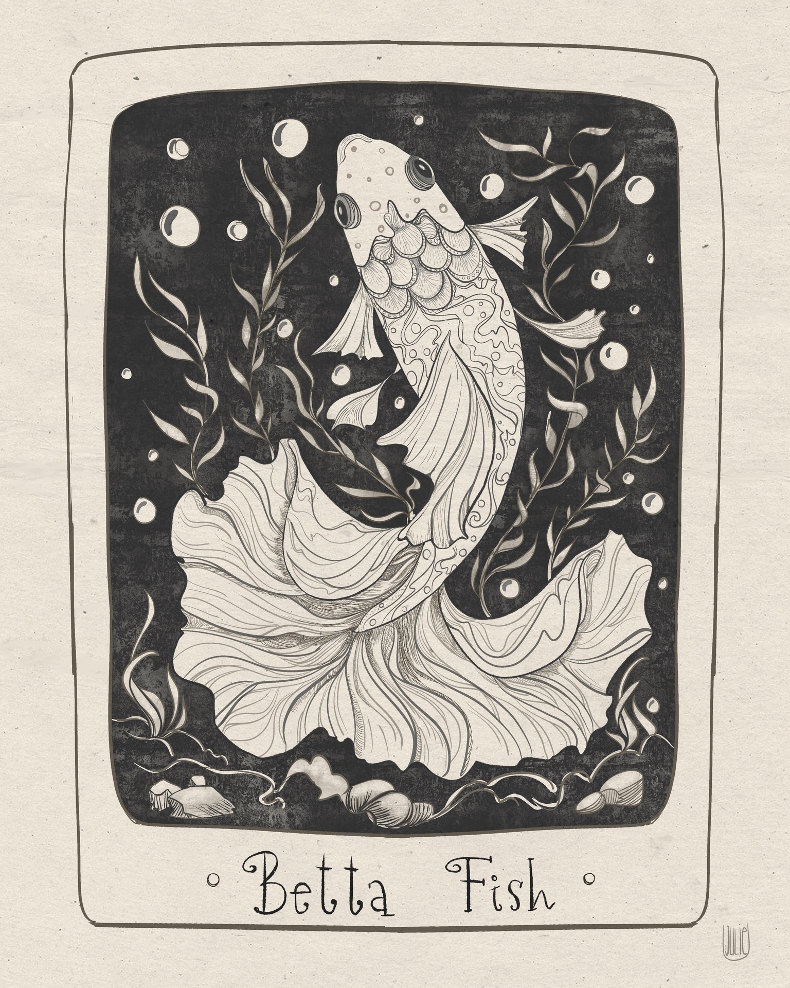 Betta Fish - image 1 - student project