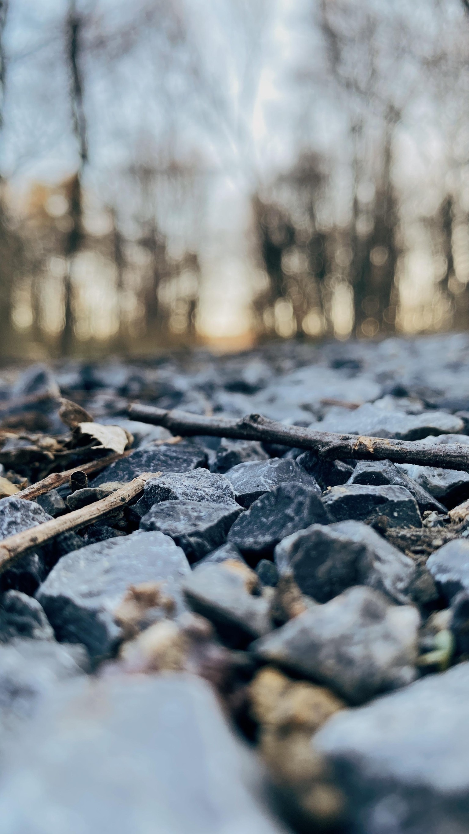 Running trail - image 2 - student project