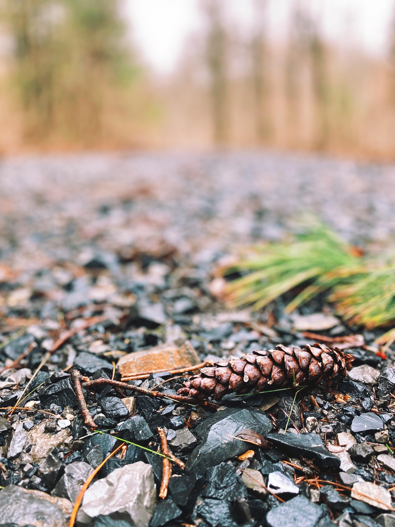 Running trail - image 3 - student project