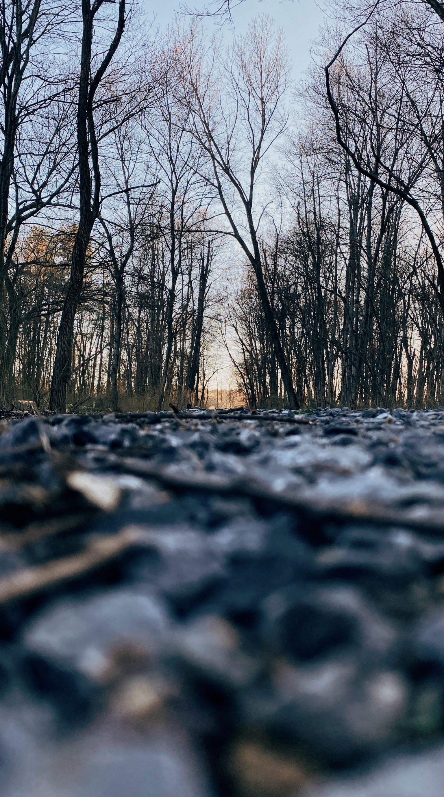 Running trail - image 1 - student project