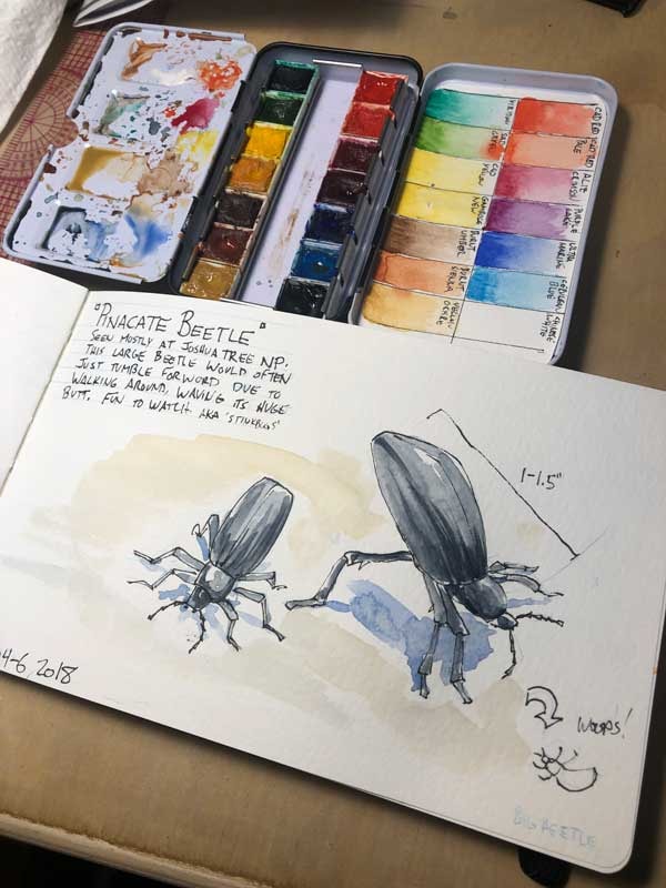 Travel Journal of the SW Road Trip - image 2 - student project