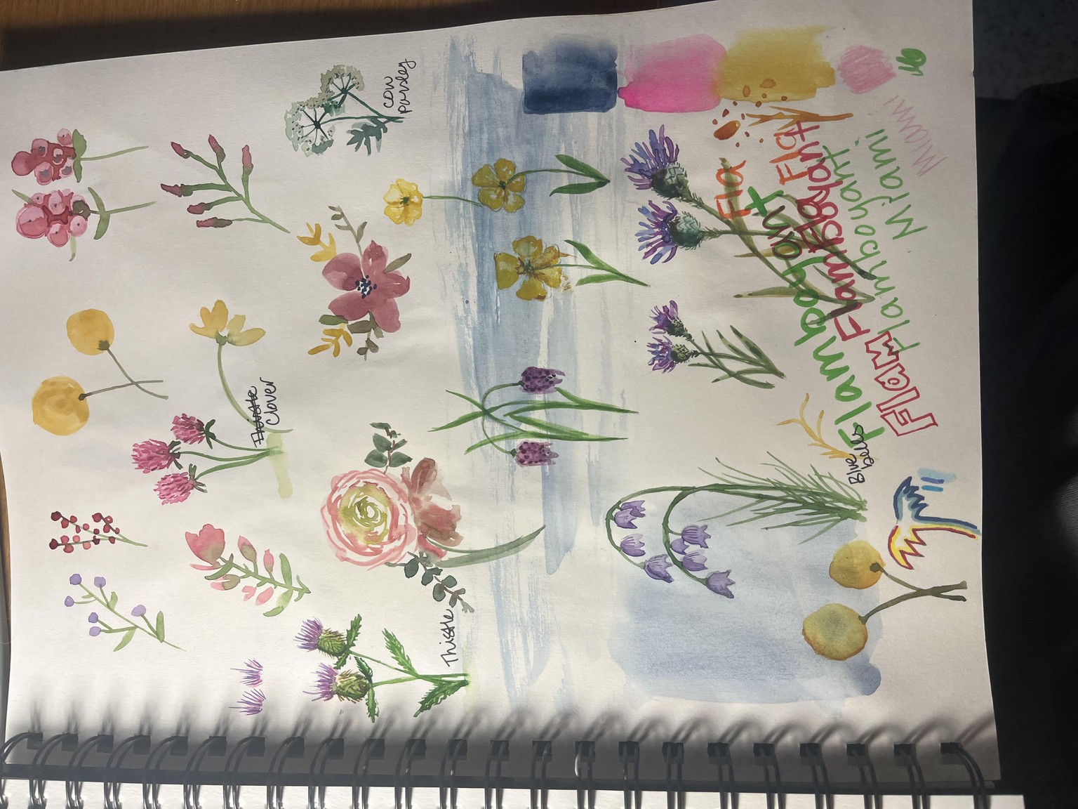 Watercolor Wildflowers - image 1 - student project