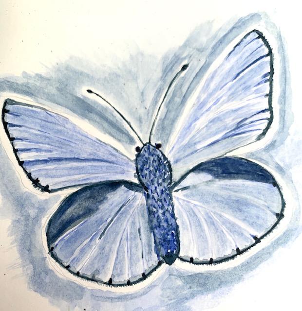 Water Color Butterfly - first attempt. - image 2 - student project