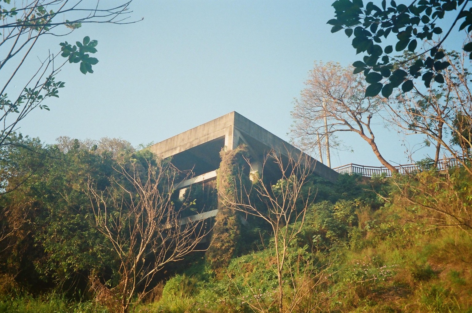 First Roll - Kodak UltraMax 400 - image 5 - student project