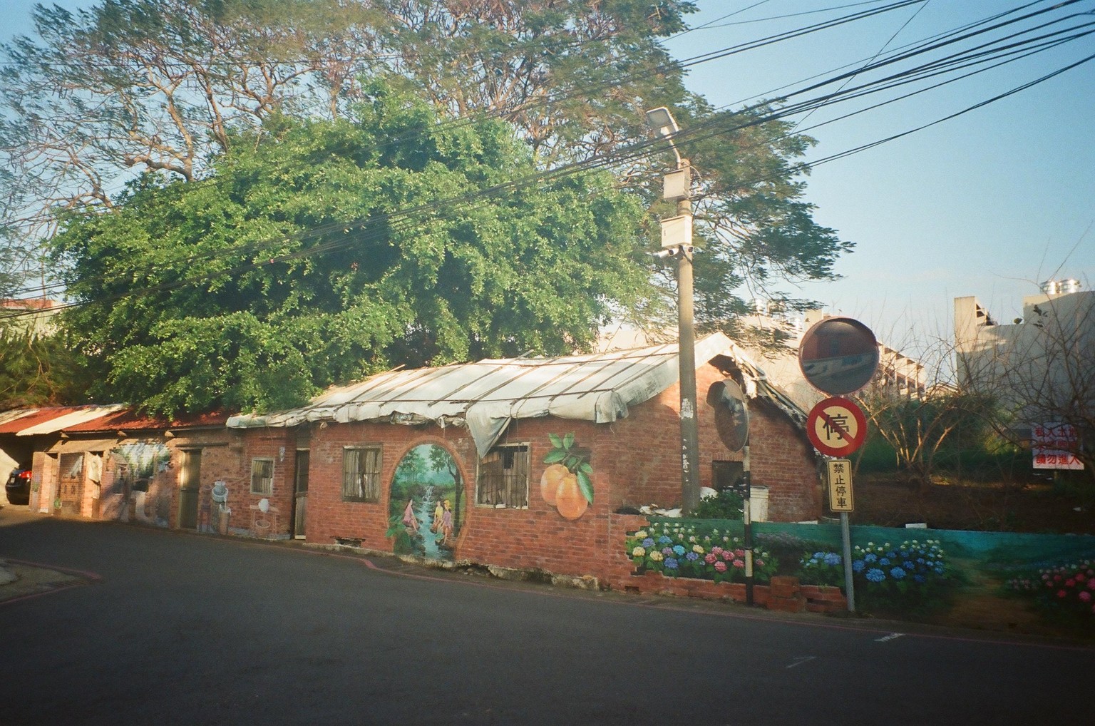 First Roll - Kodak UltraMax 400 - image 4 - student project