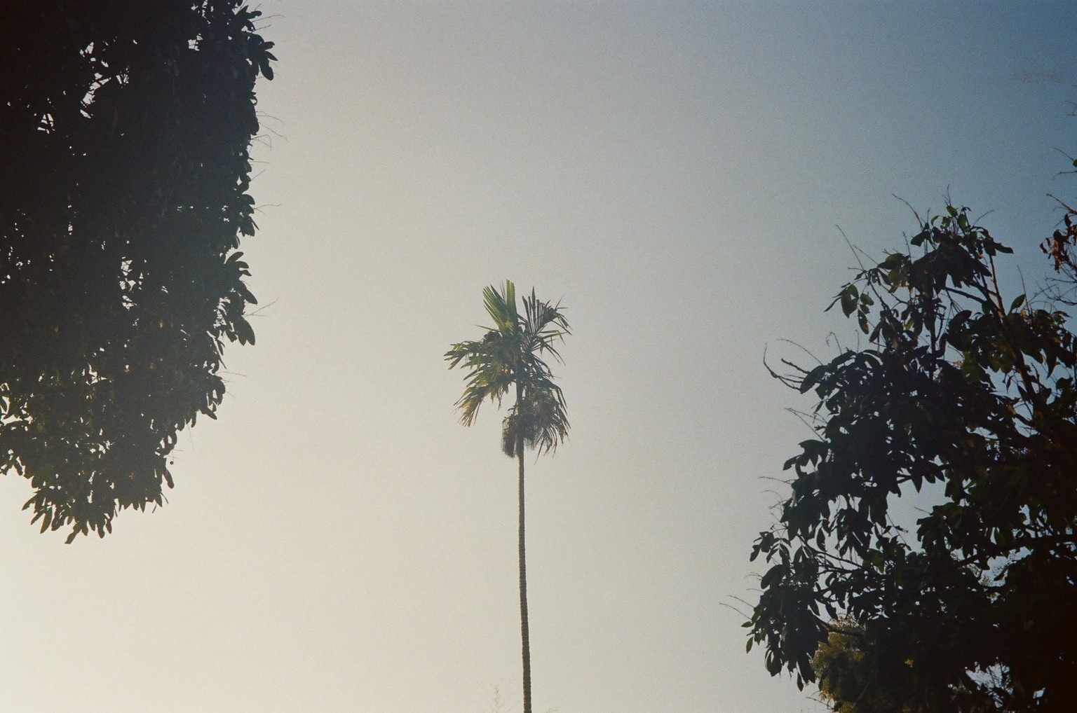 First Roll - Kodak UltraMax 400 - image 6 - student project