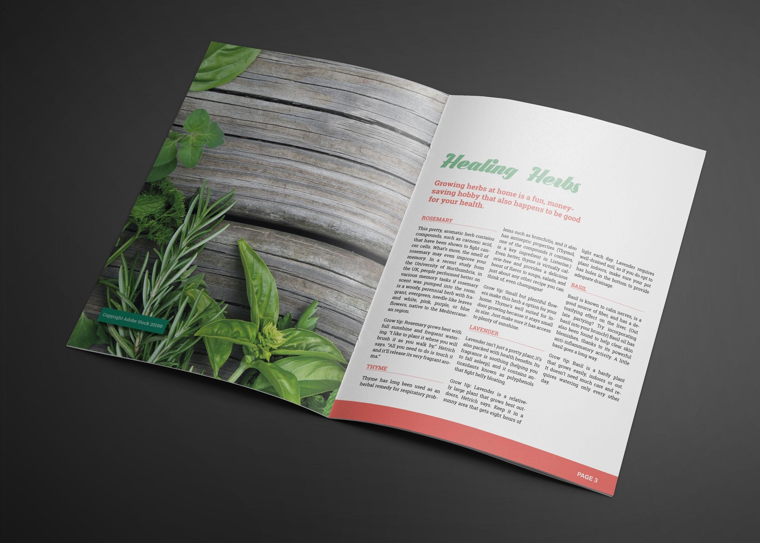 Indesign - Course Project - image 14 - student project