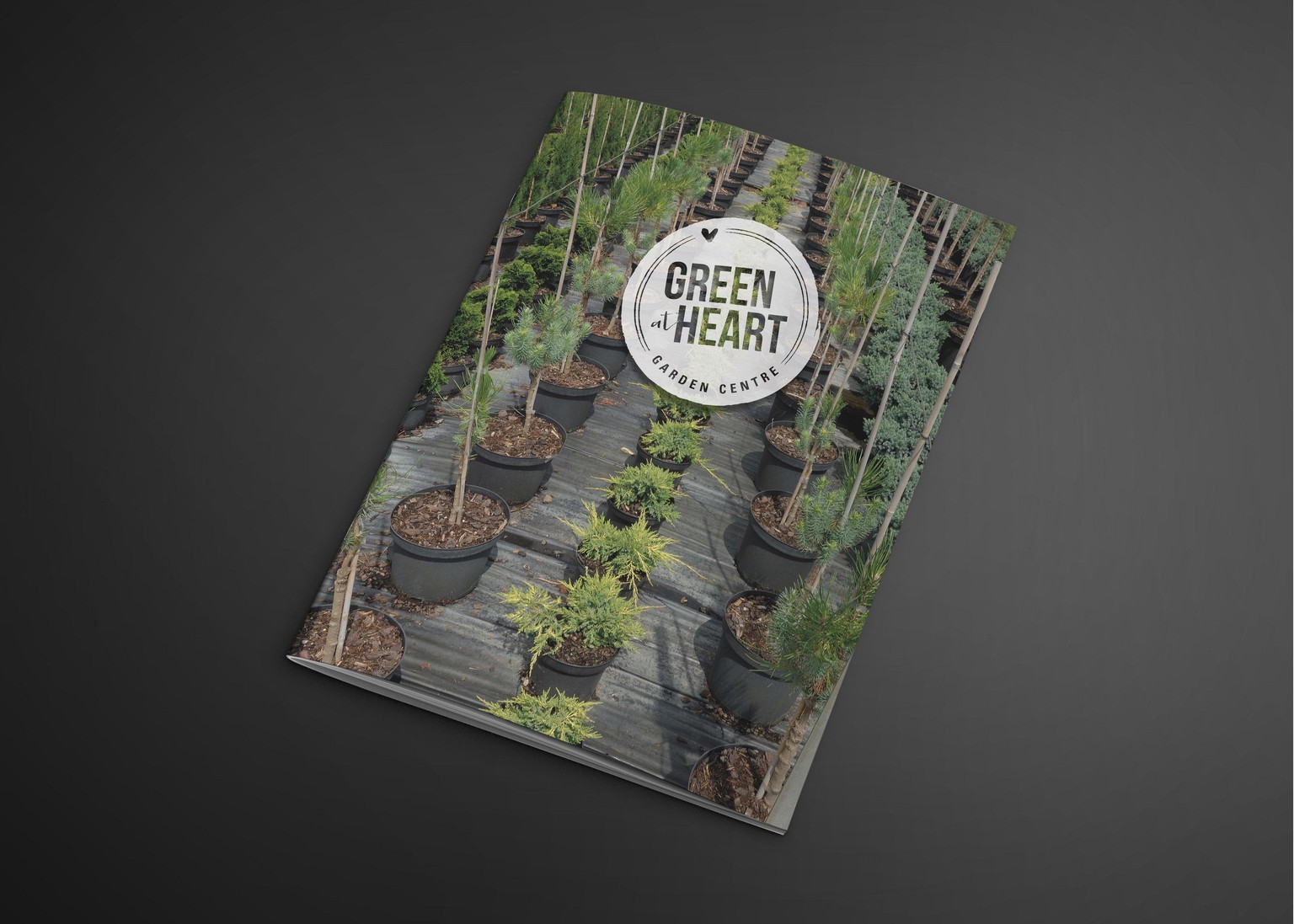 Indesign - Course Project - image 11 - student project