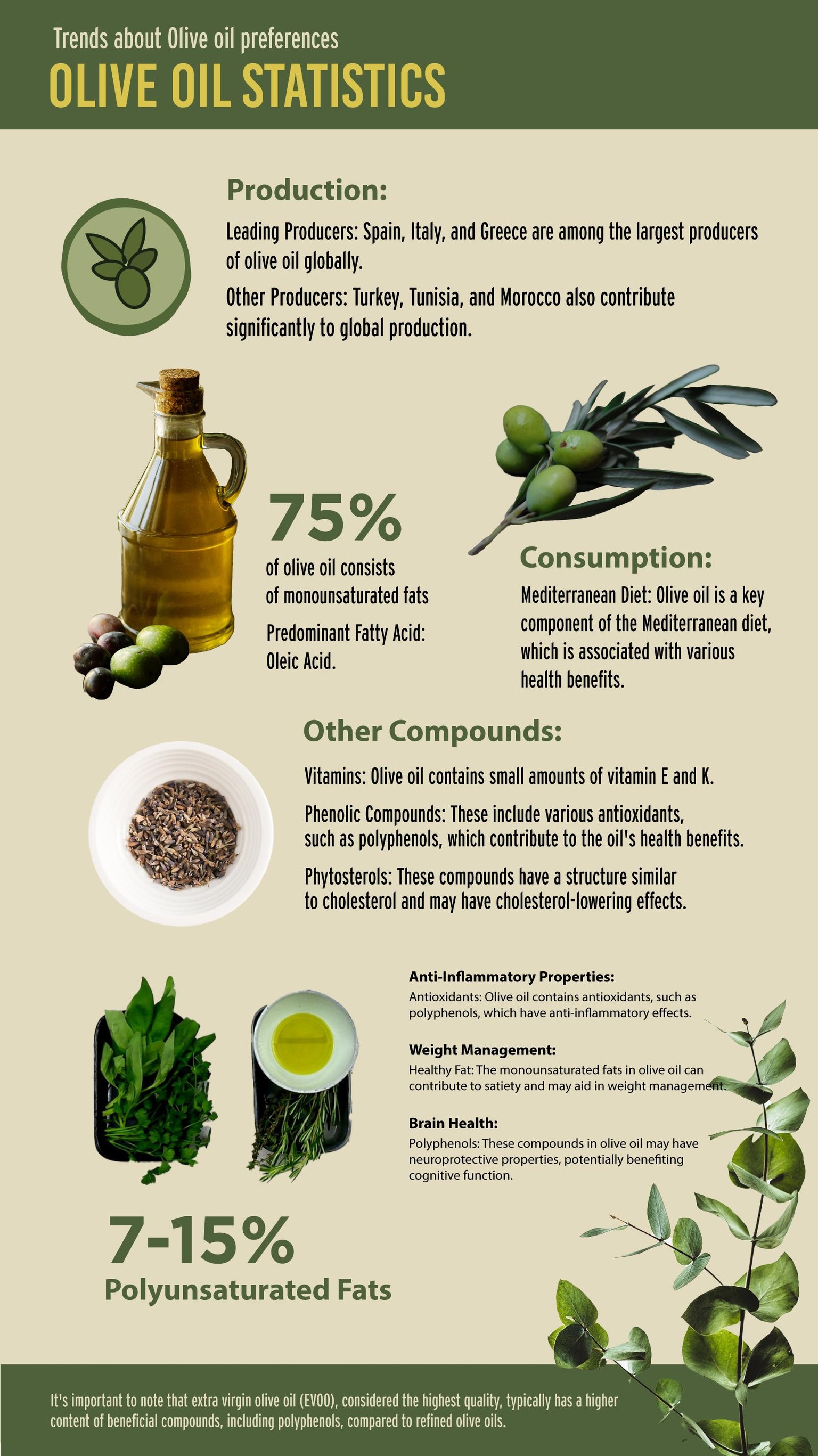 Infographic about Olive Oil Statistics - image 1 - student project