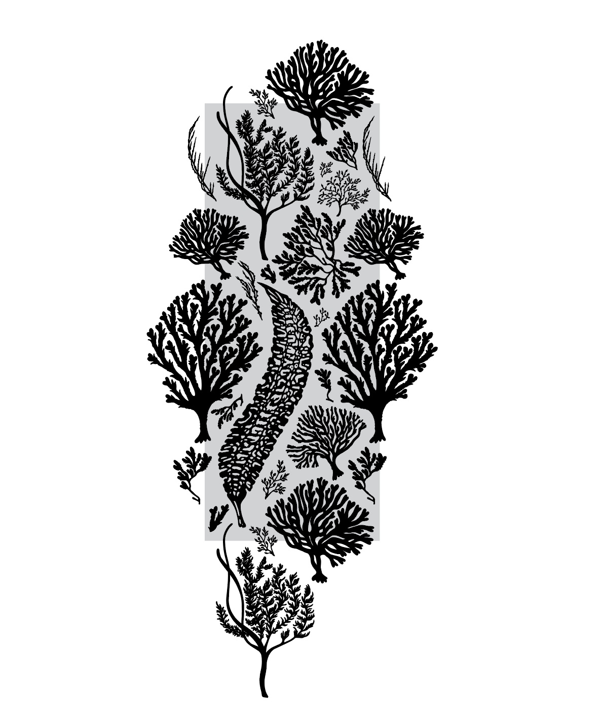 Seaweed Wallpaper (Class Example) - image 7 - student project