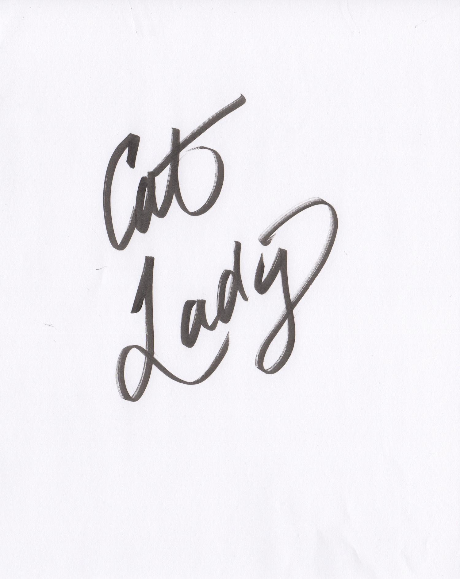 Cat Lady - image 2 - student project