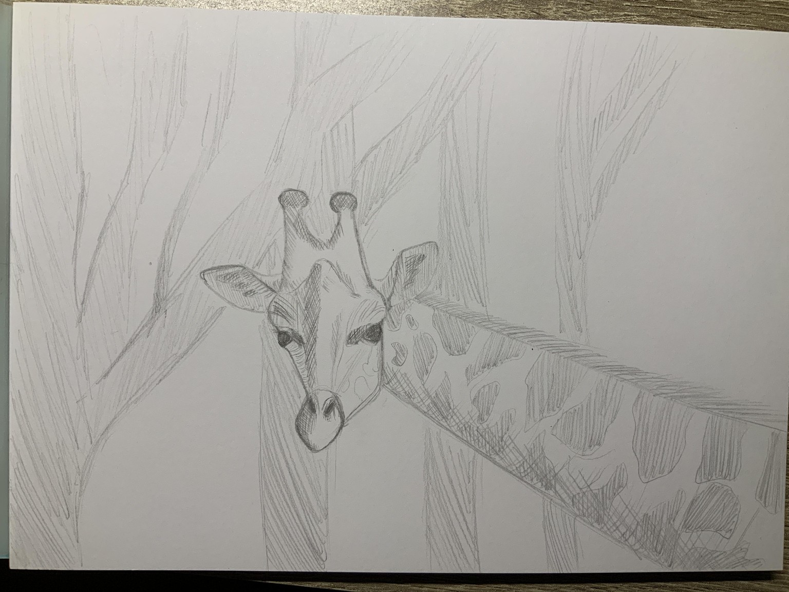 Giraffe - image 1 - student project