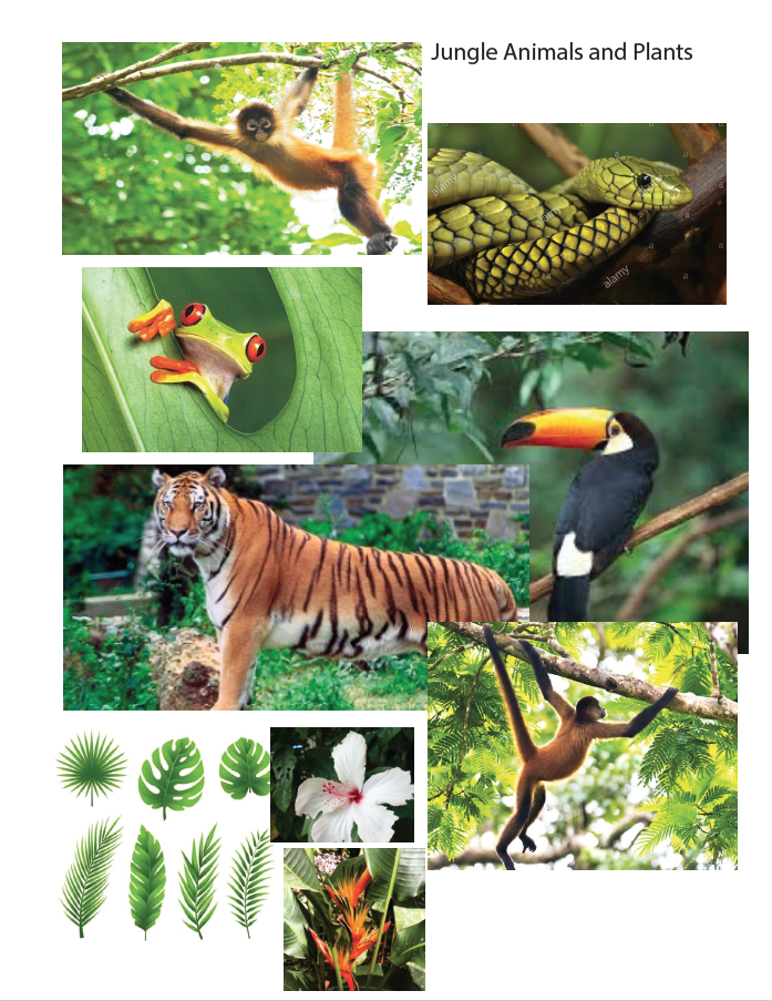 Roar! - image 1 - student project