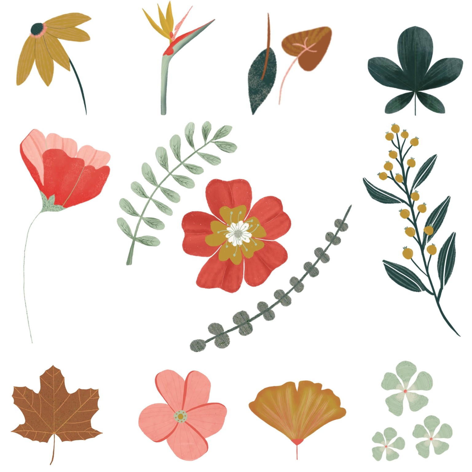 Flowers in procreate - image 2 - student project