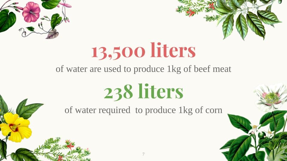 The benefits of a plant-based diet - image 7 - student project