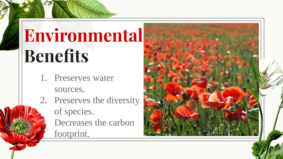 The benefits of a plant-based diet - image 13 - student project