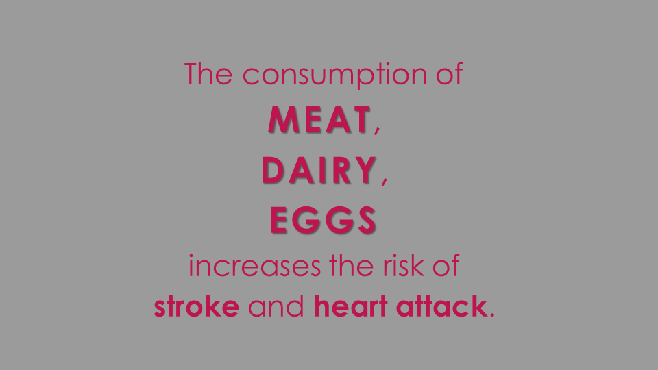 The Plant-Based Diet - image 10 - student project