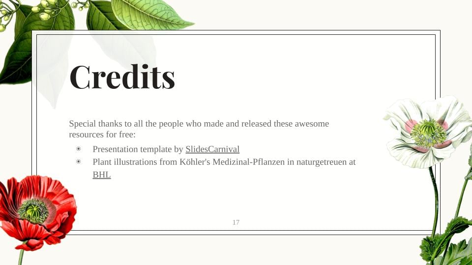 The benefits of a plant-based diet - image 17 - student project