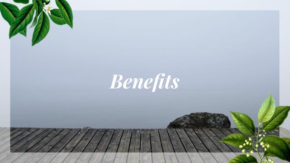 The benefits of a plant-based diet - image 11 - student project