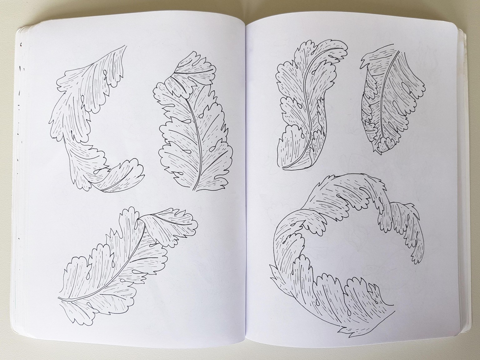 Patterns including acanthus leaves - image 3 - student project