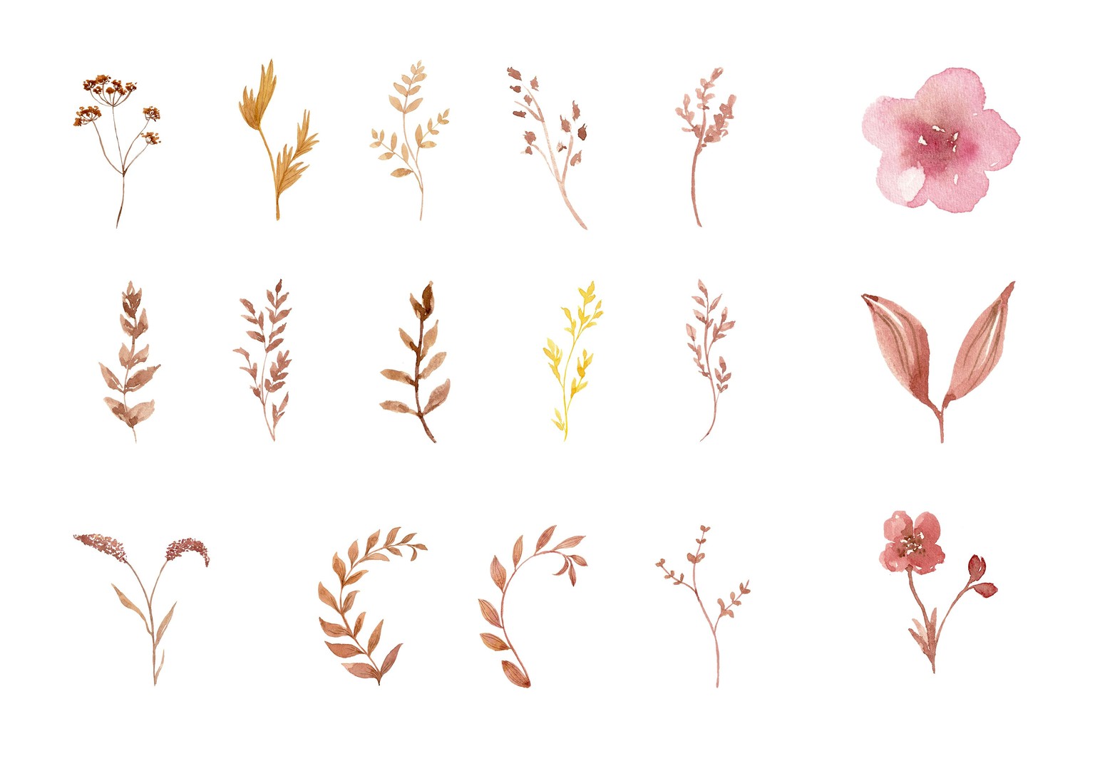Botanical decorated letter - image 1 - student project