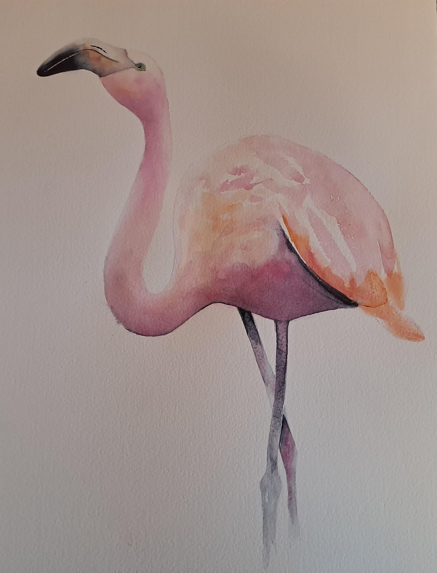Flamingo - image 2 - student project
