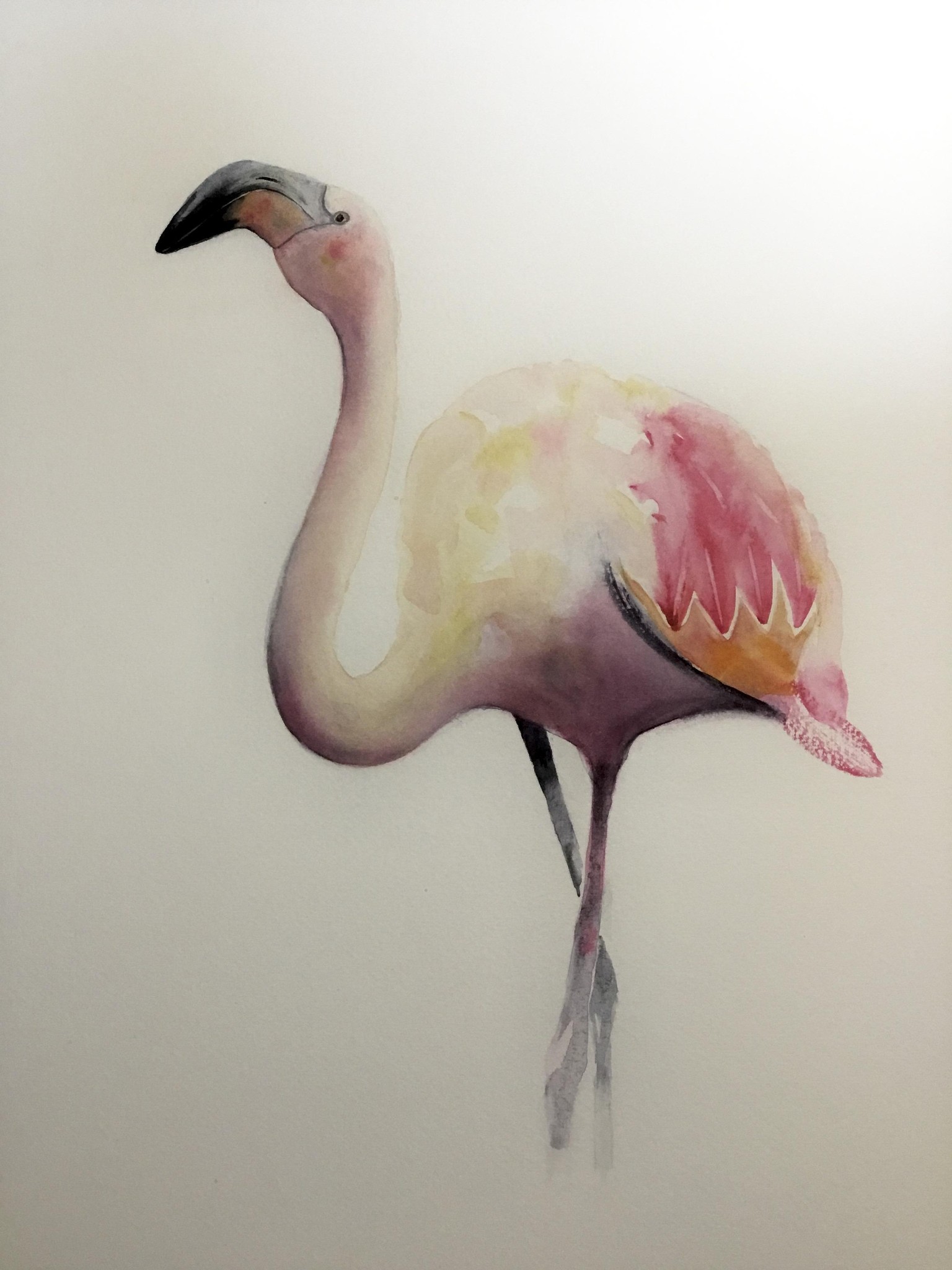 Flamingo - image 1 - student project