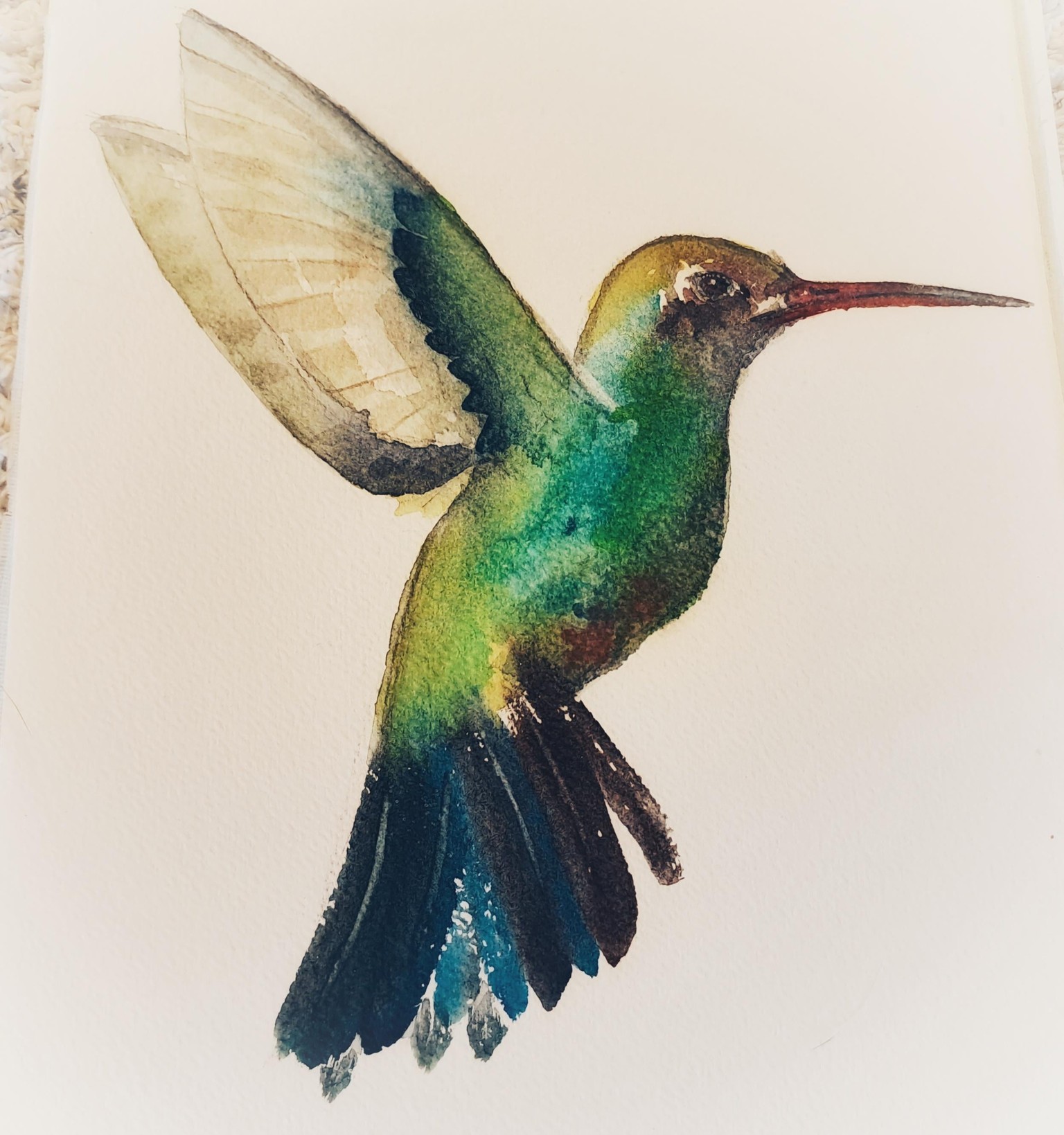 Mein Kolibri - image 1 - student project