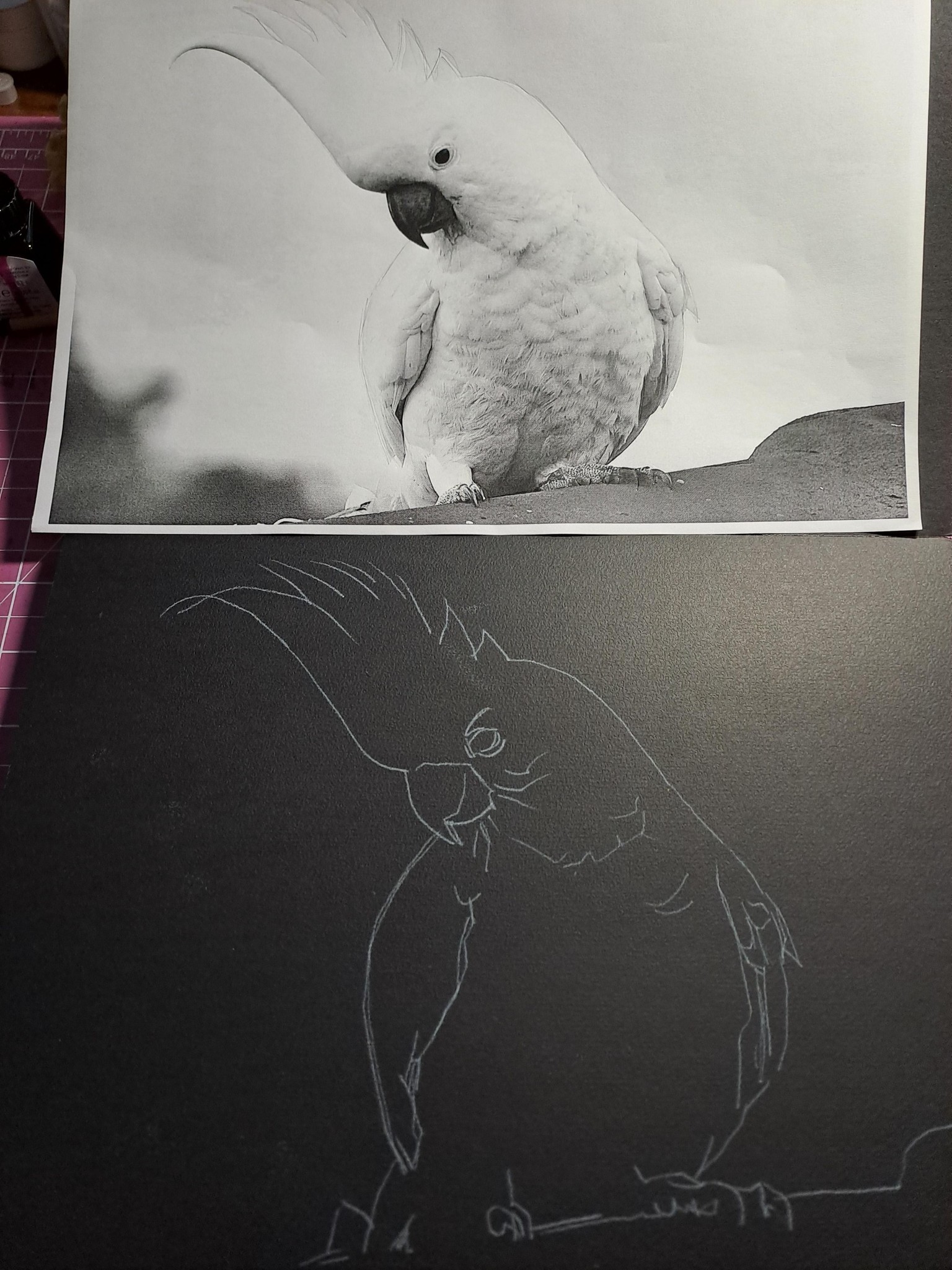 Grid, tracing or light box - image 3 - student project