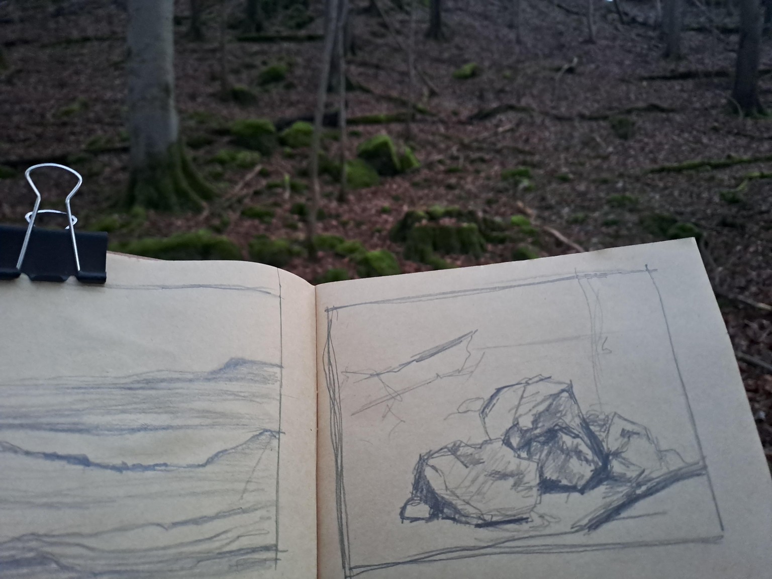 Painting Rocks - image 1 - student project