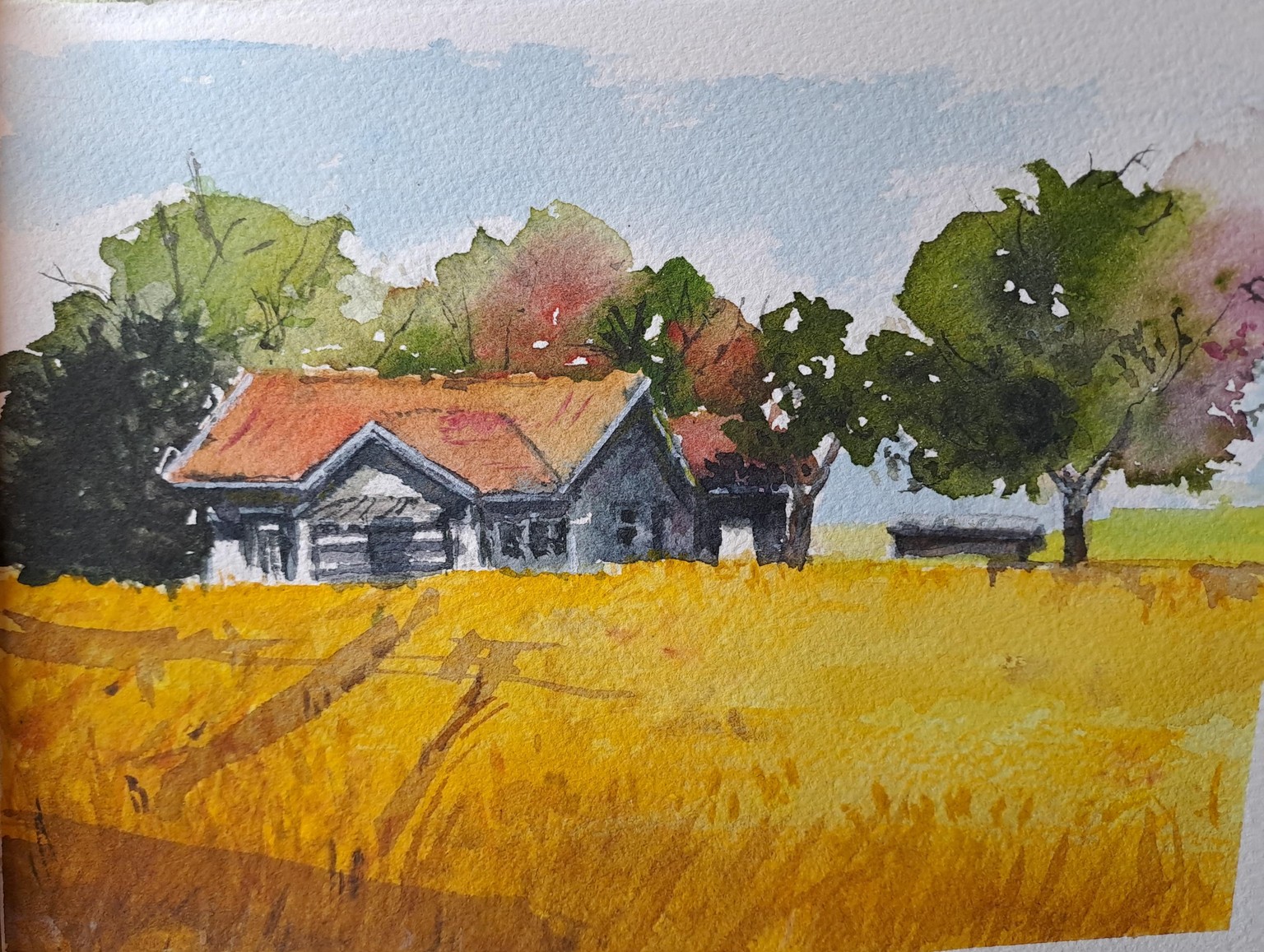 Sweden's golden fields - image 1 - student project