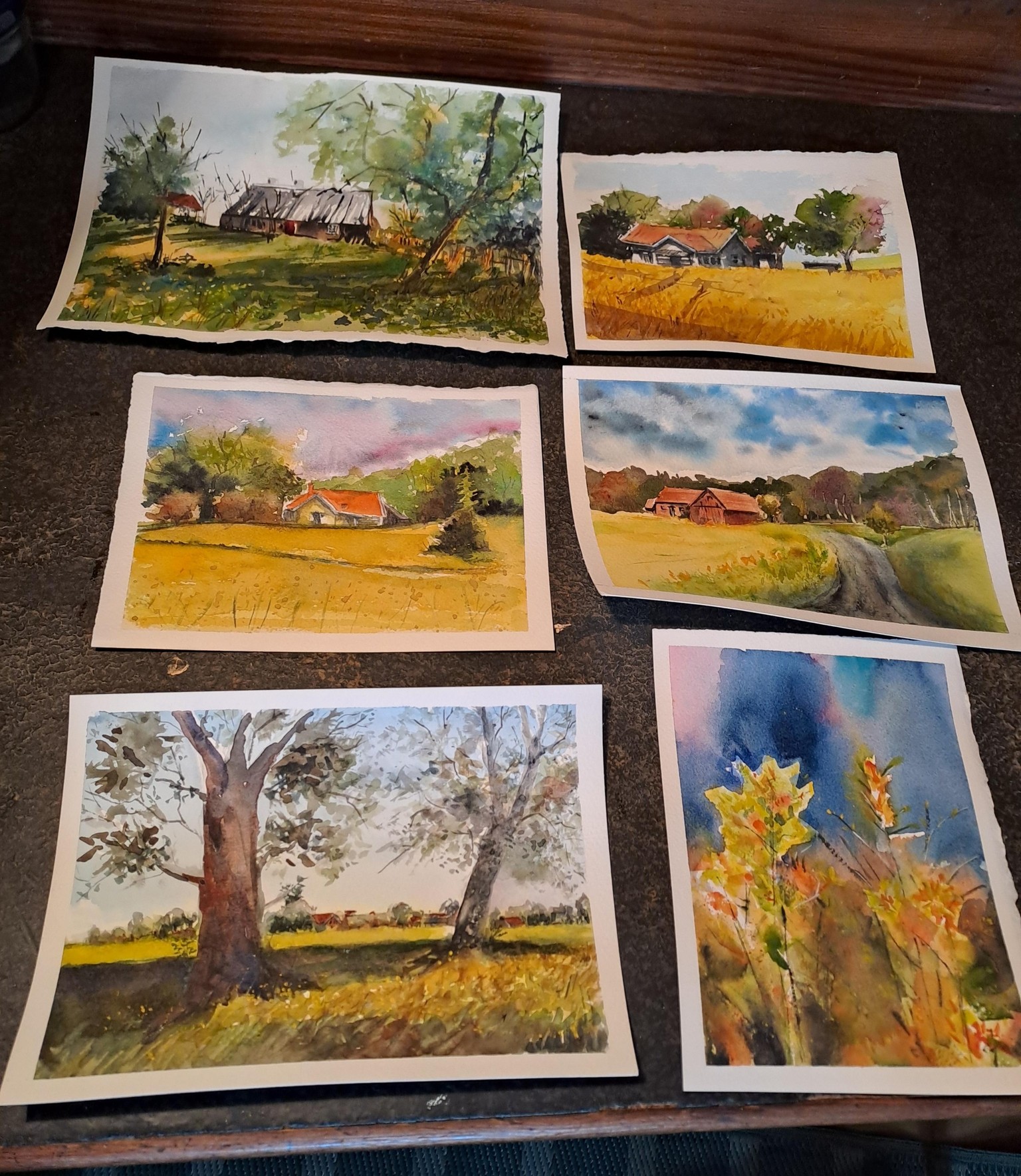 Sweden's golden fields - image 5 - student project
