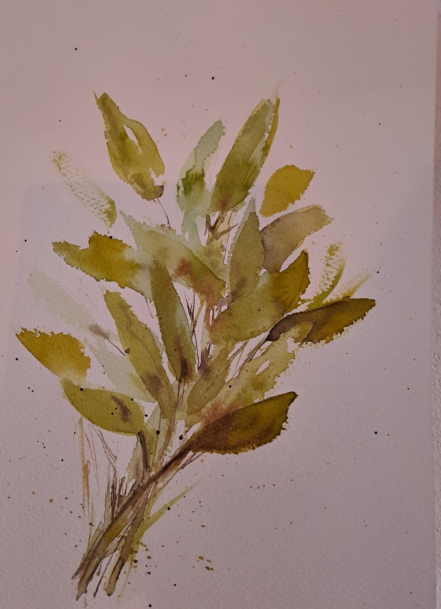 Watercolor herbs - image 2 - student project