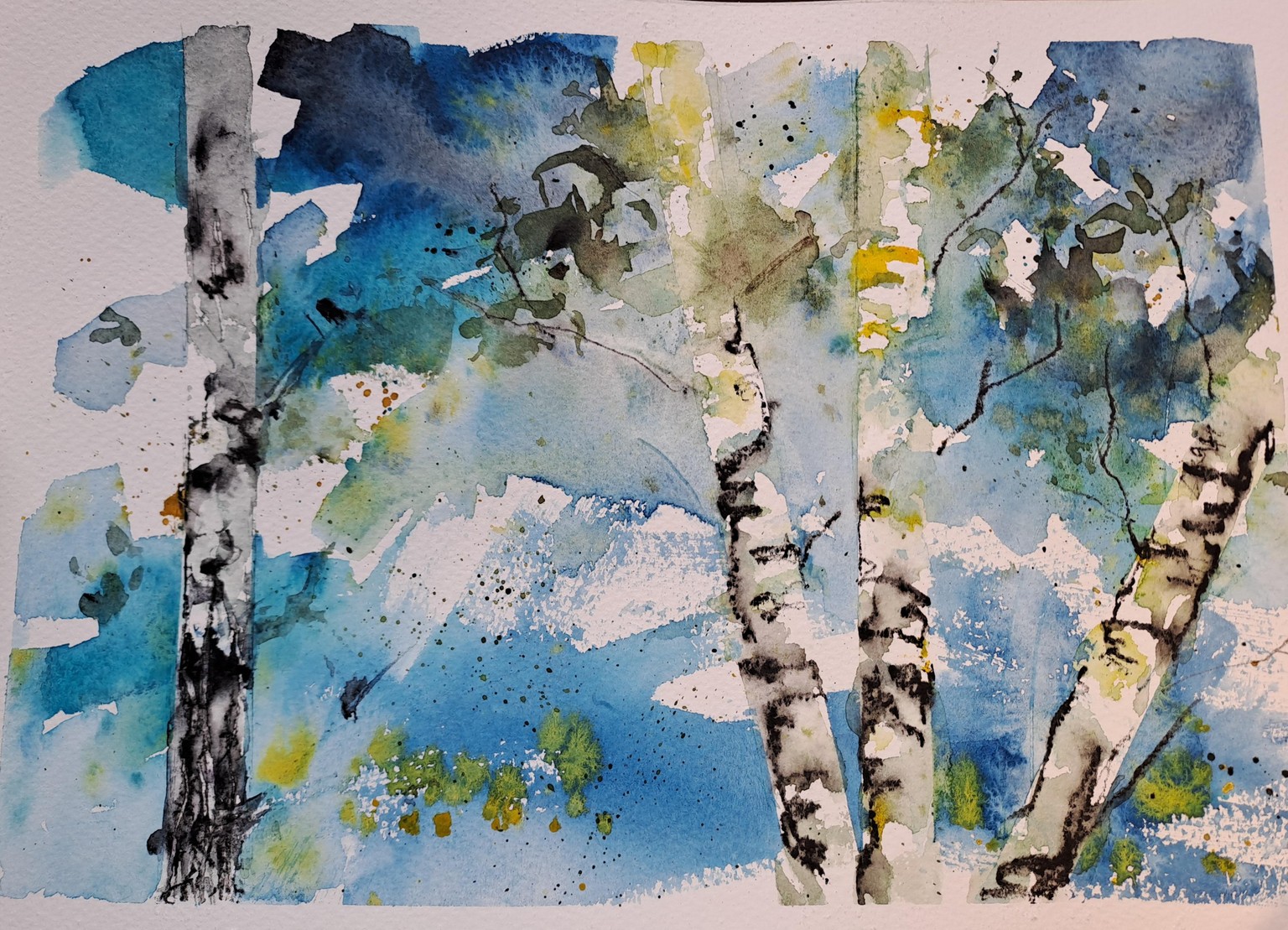 My birch trees - image 1 - student project