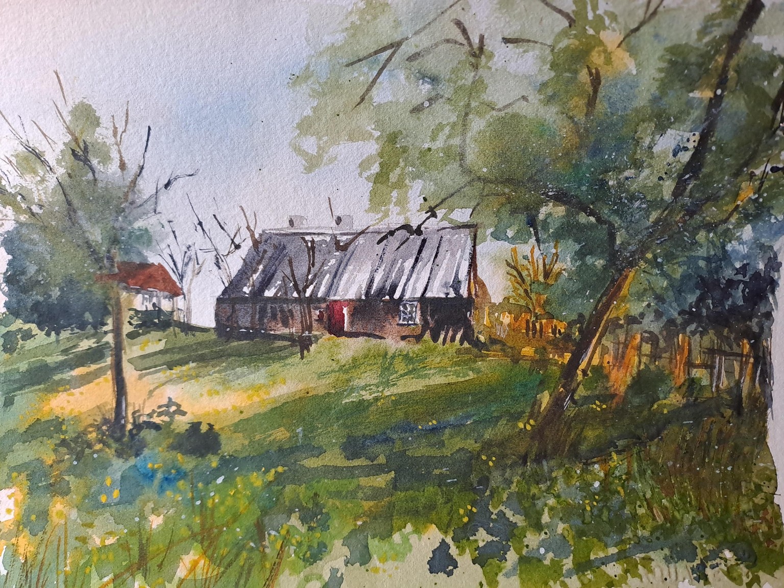 Sweden's golden fields - image 3 - student project