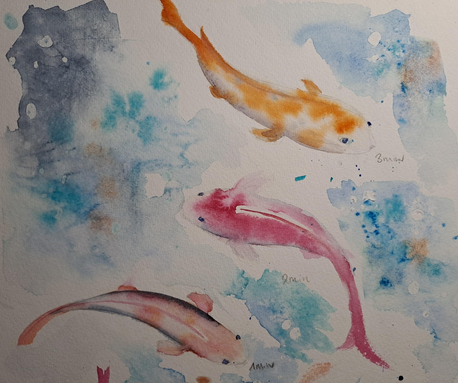 Koi pond - image 4 - student project