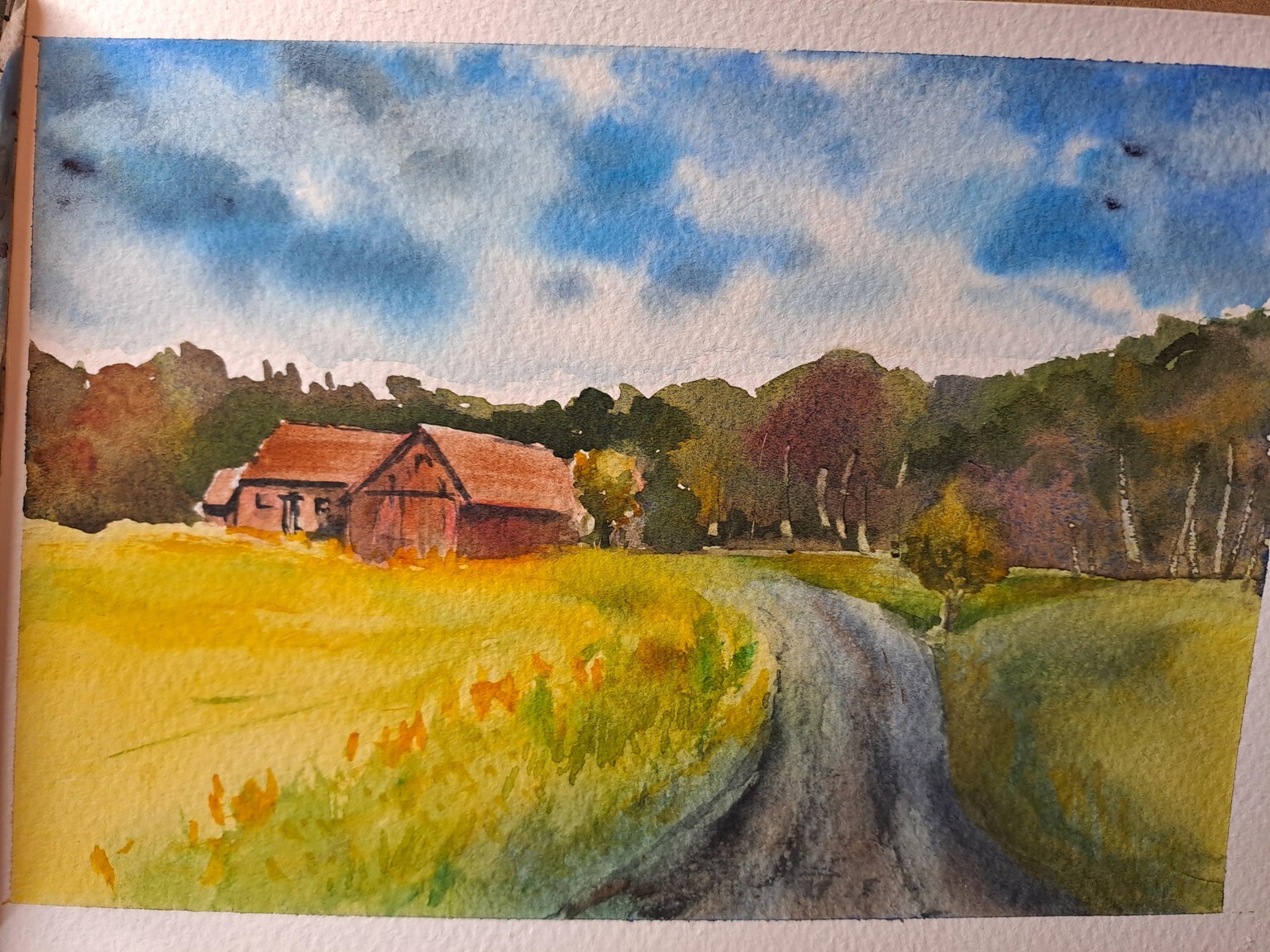 Sweden's golden fields - image 4 - student project