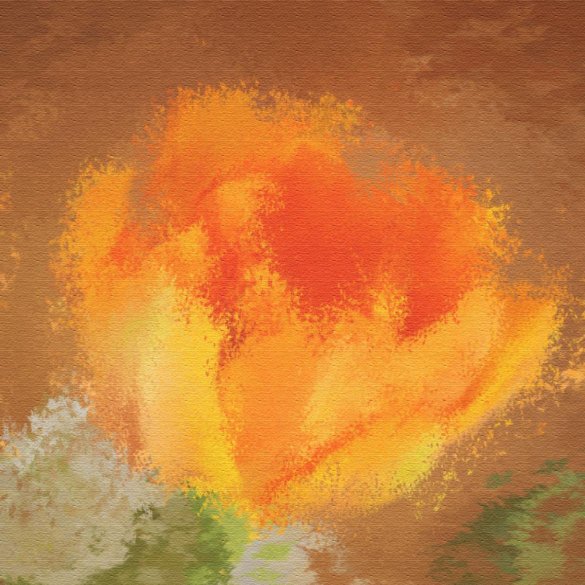 Painted Tulip - image 1 - student project