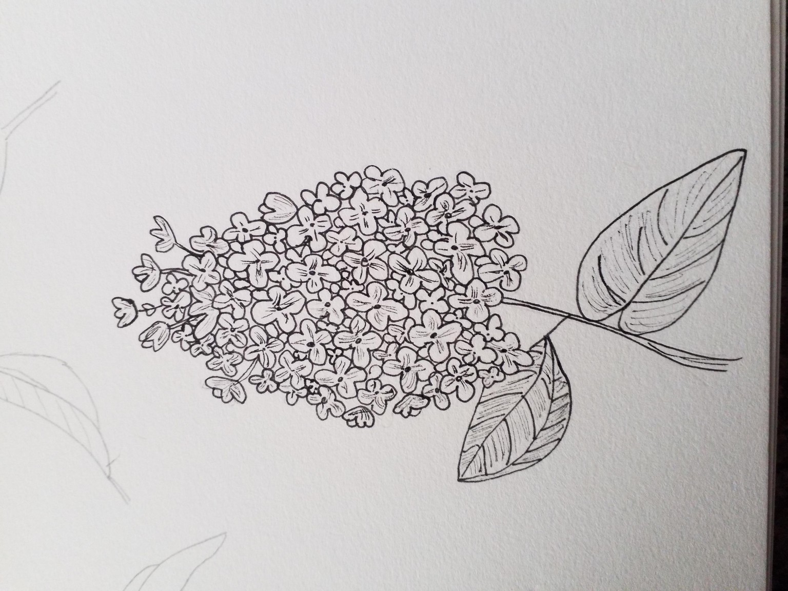 Lilac - image 1 - student project