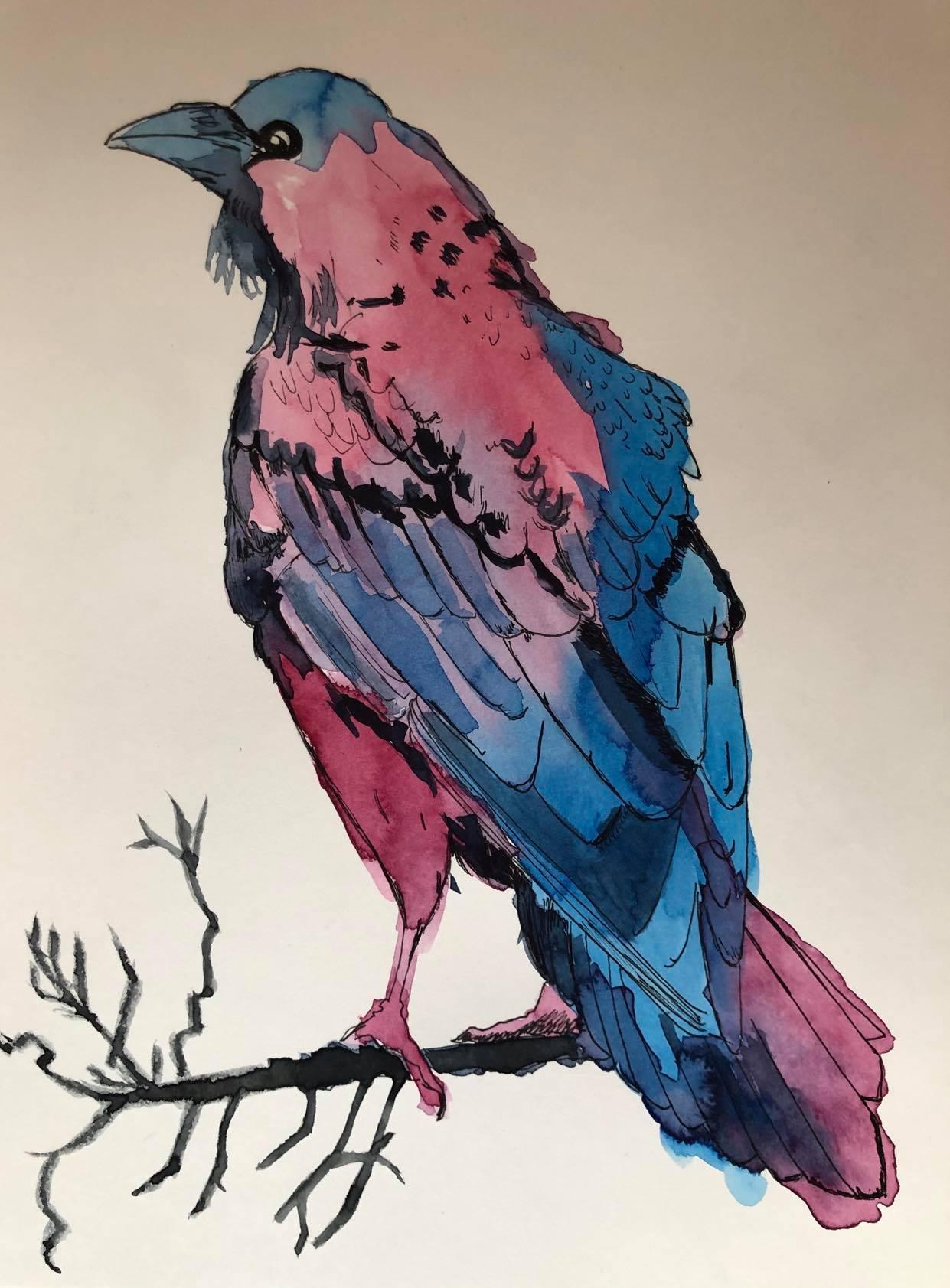 My favourite bird :-) - image 1 - student project
