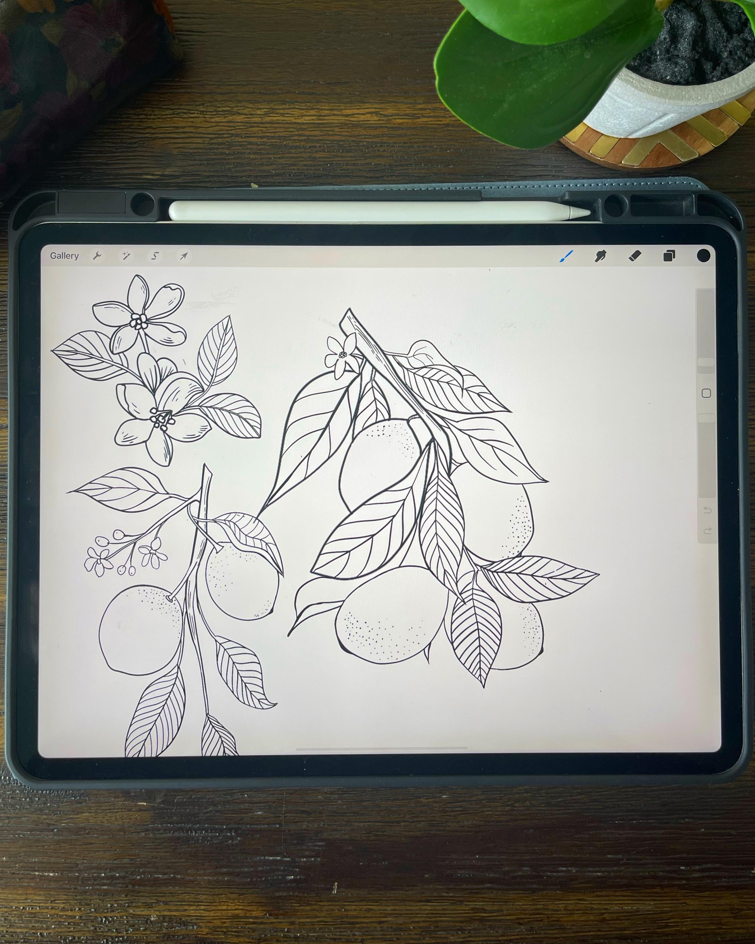 Secret Garden - image 1 - student project