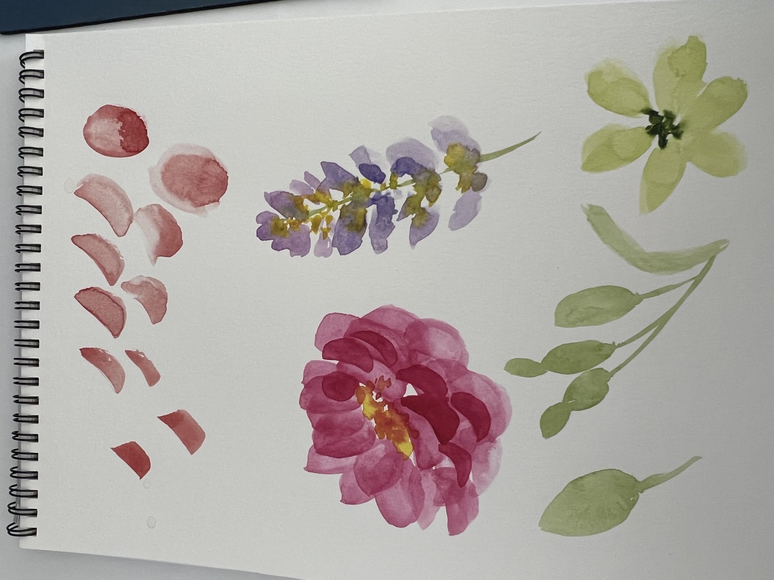 Floral Project - image 1 - student project