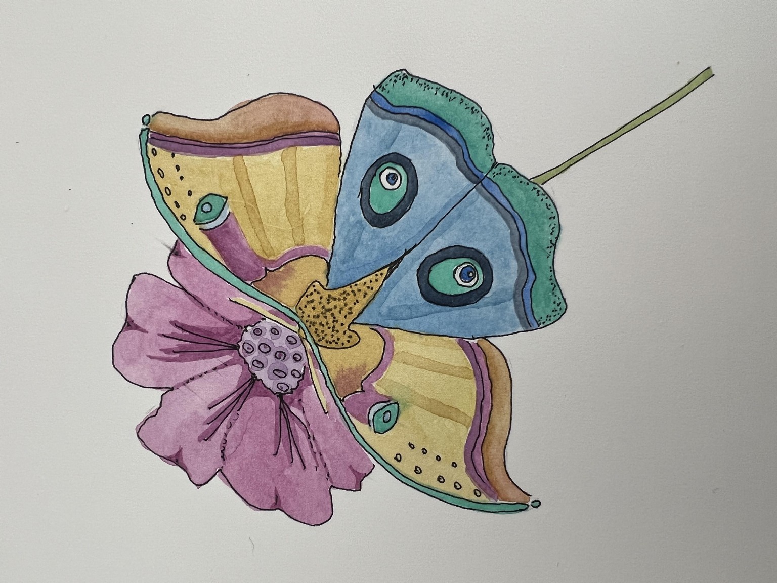 Moth on Flower - image 1 - student project