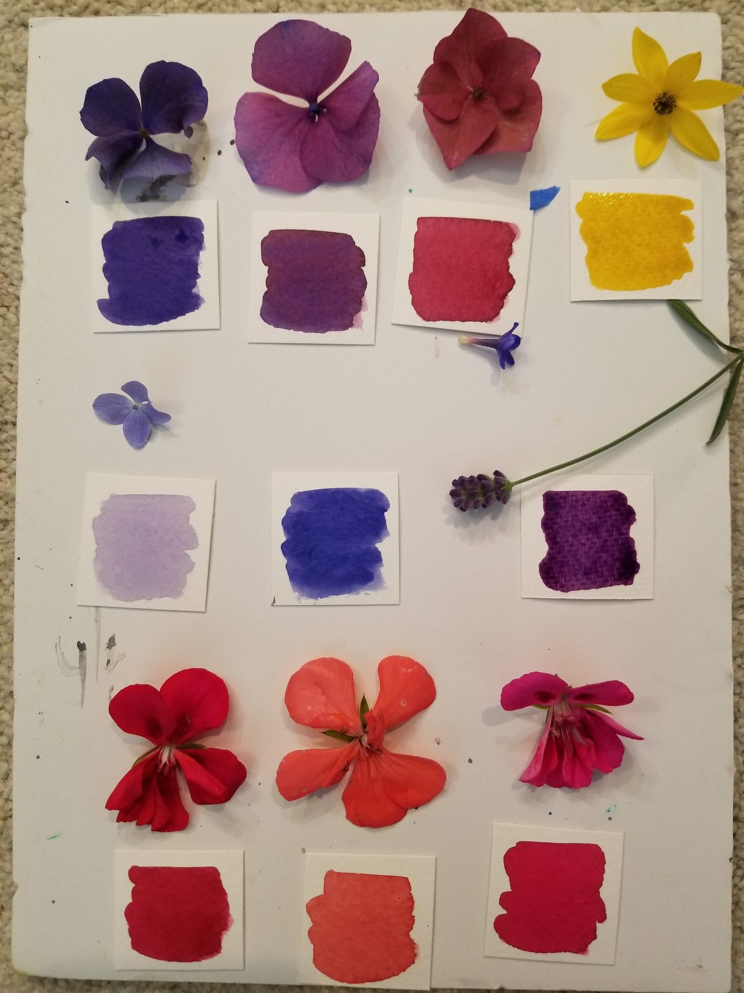 Delightful Nature Journaling! - image 5 - student project
