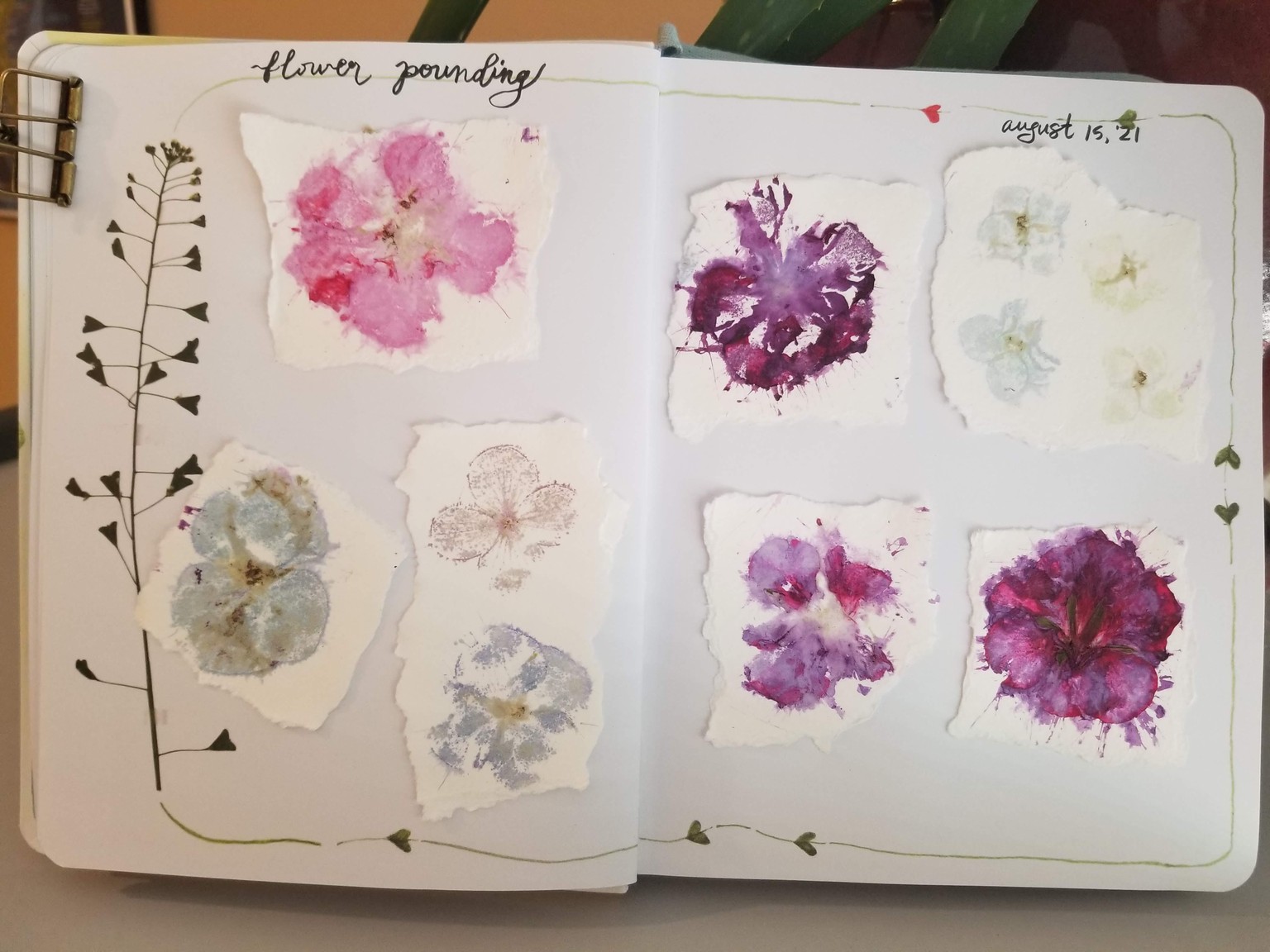 Delightful Nature Journaling! - image 4 - student project