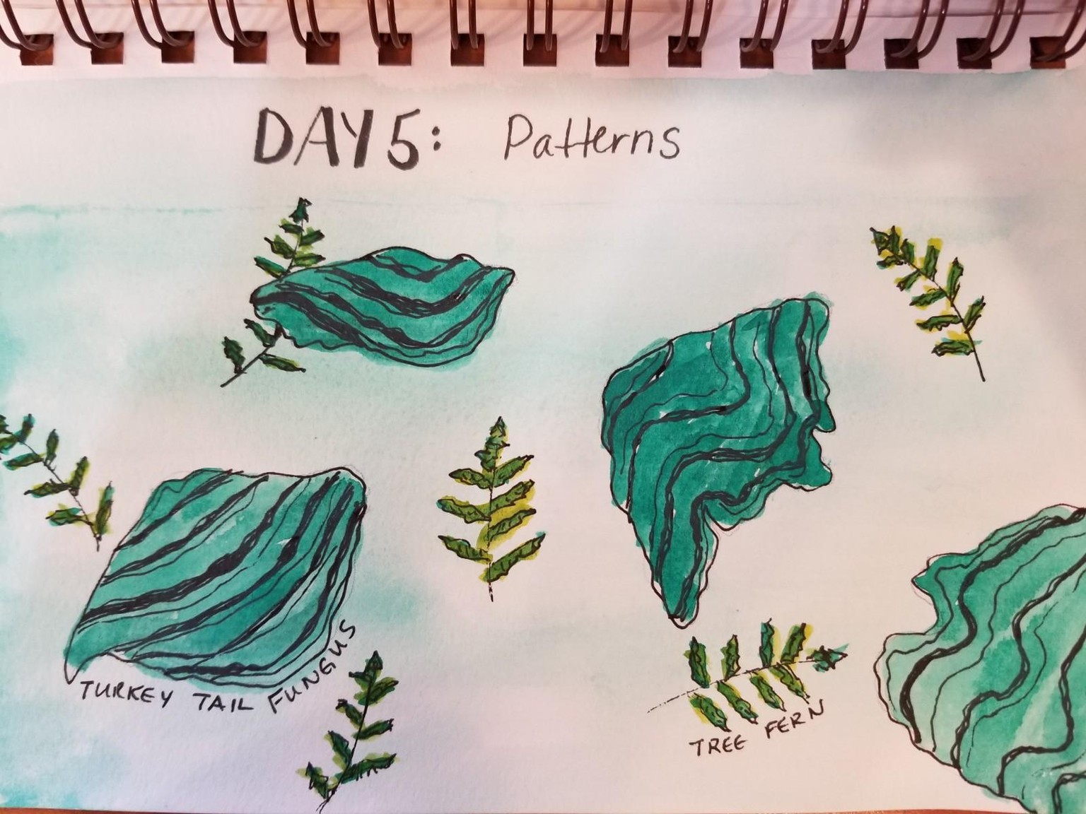 Nature Journaling Dream! - image 5 - student project