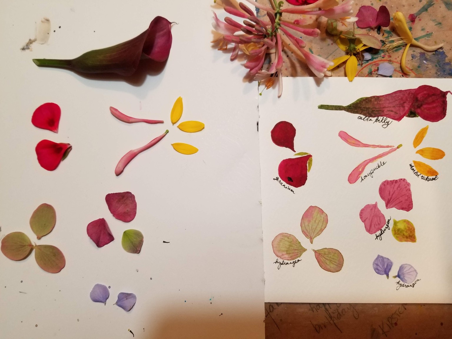 Delightful Nature Journaling! - image 6 - student project