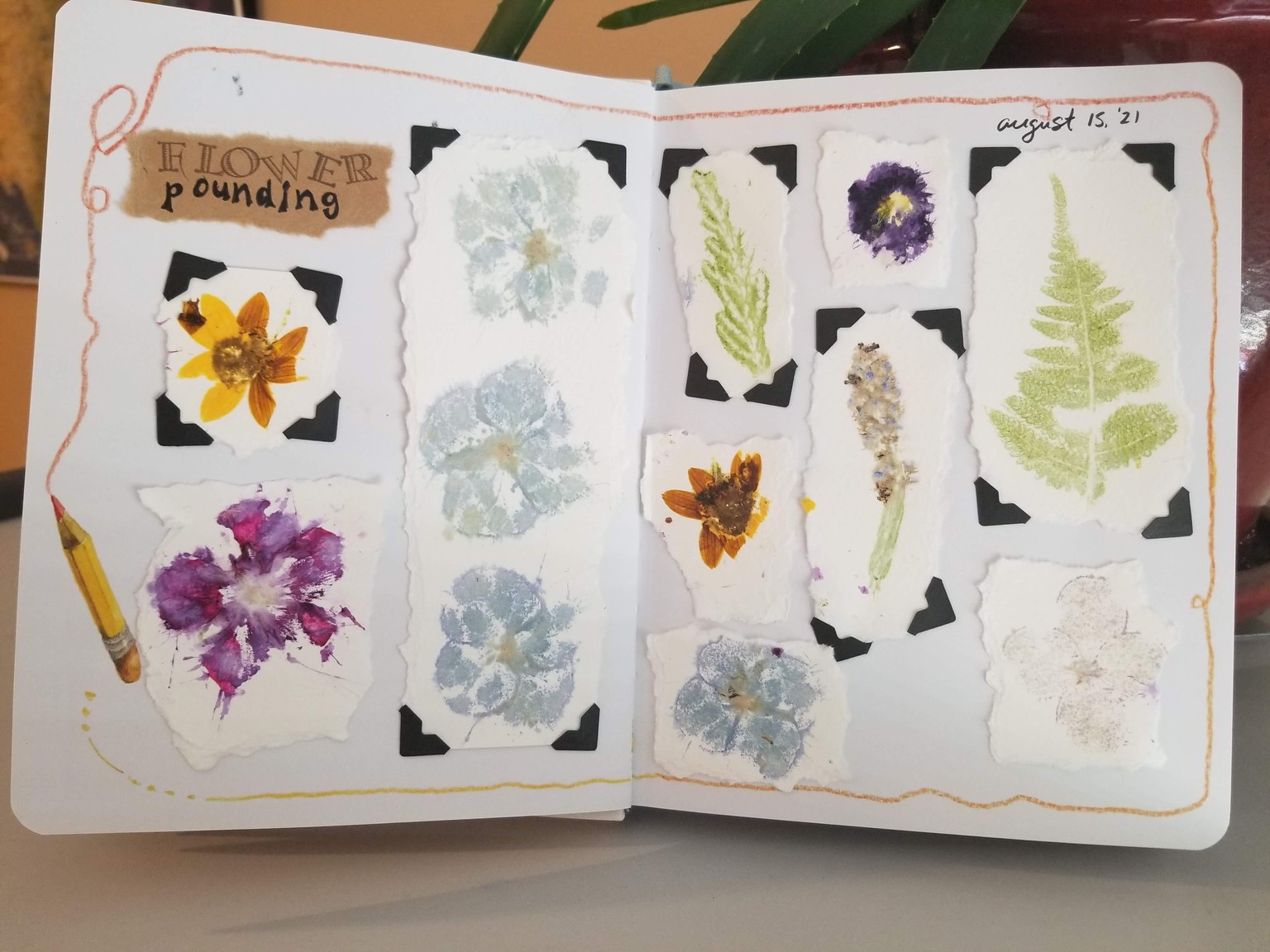 Delightful Nature Journaling! - image 3 - student project